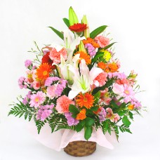 Omakase Arrangement・Precious