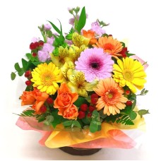 Omakase Arrangement / Cutie Premium