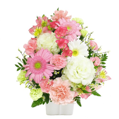 Arrangement left to you・Cutie
white & pink