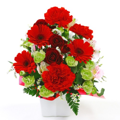 Arrangement left to you・Cutie
red color