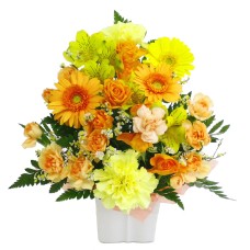 Cutie yellow & orange Cutie yellow & orange