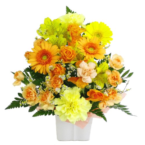 Cutie yellow & orange