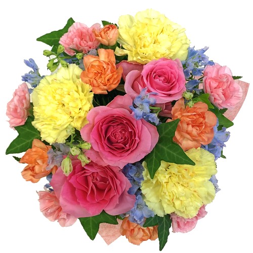 Arrangement Cutie Excella