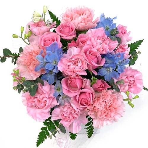 Arrangement Cutie Excela1