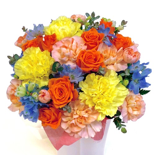 Arrangement Cutie Excella 1