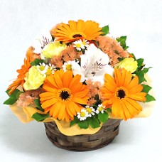 Ice cream apricot arrangement