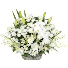 Offering arrangement/Phoenix