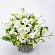Offering Arrangement (JFN)