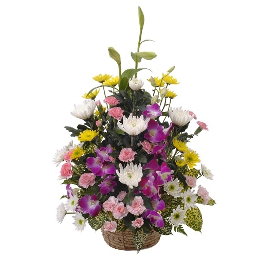 Offering arrangement/meditation
