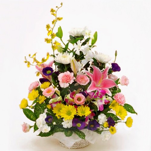 Offering arrangement/wish