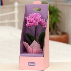Table Phalaenopsis No. 3 1 stand