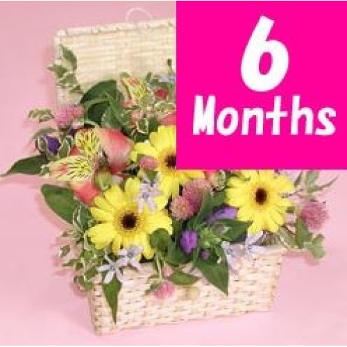 Seasonal Arrangement - 6 Months Regular Service -