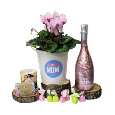 Number #1 Mum Cyclamen