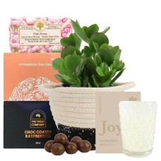 SUCCULENT SCENT HAMPER
