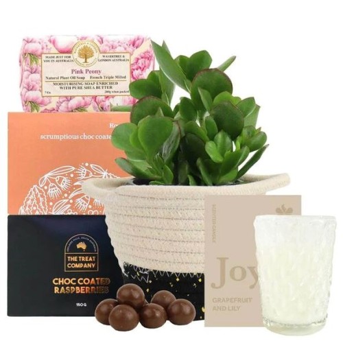 SUCCULENT SCENT HAMPER
