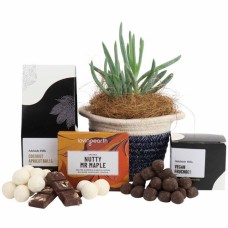 The Succulent & Vegan Chocolate Gourmet Hamper