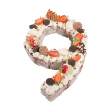 Number Nine Chocolate Lamington Birthday Cake