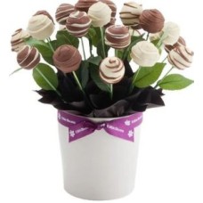 Cake Pop Taster (24)