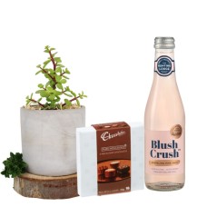 Sparkling Money Tree Chocolate Gift