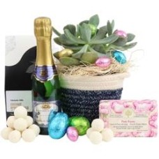 Easter Succulent Sparkling Pamper Hamper