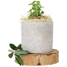 Money And Mortar Gift