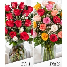 Double the Romance