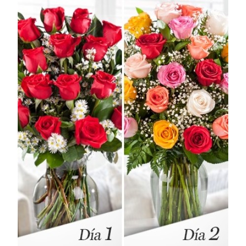 Double the Romance