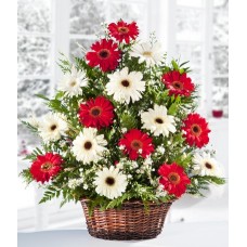 White Chistmas