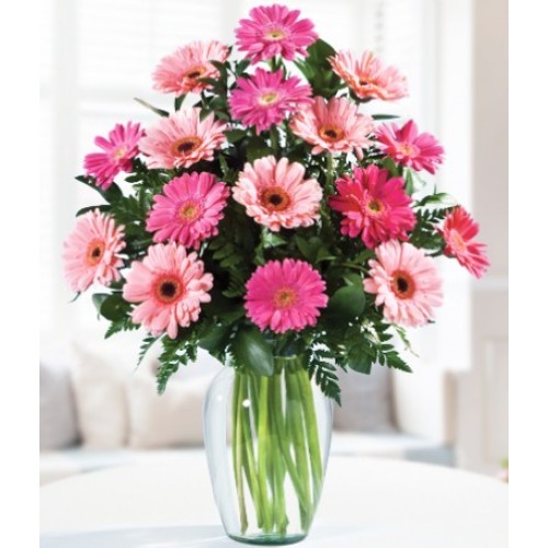 Daisy Cluster