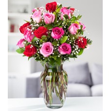 Double Pink Roses