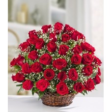 Rose Serenade