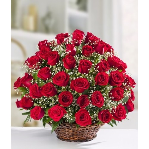 Rose Serenade