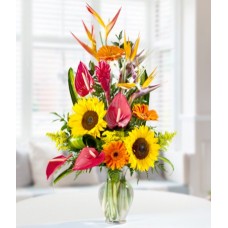 Tropical in Vase