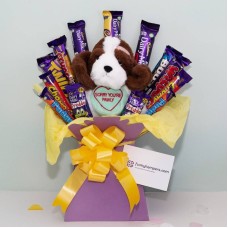 Sorry You're Pawly Teddy and Chocolate Bouquet