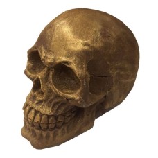 Solid Belgian Chocolate Skull
