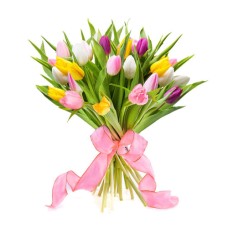 Tulips from Amsterdam, 25 st (Tulips from Amsterdam, 50 st)