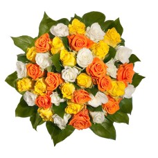 Summer Rose Festival