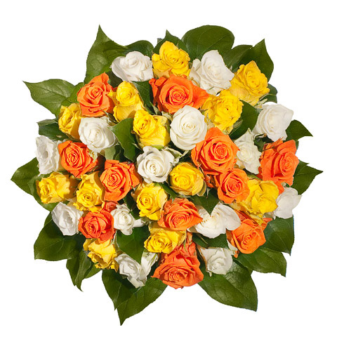 Summer Rose Festival