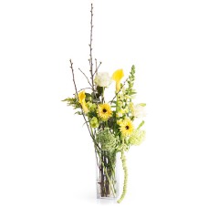 Cheerful Spring Buds