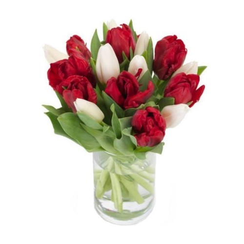 Red and white tulips | VASE IS NOT INCLUDED (Basic)