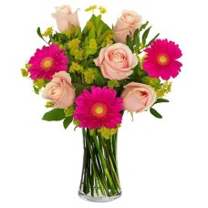 Aphrodite with fuchsia gerberas (Basic)