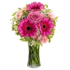 Cleopatra with pink and fuchsia flowers (Basic)