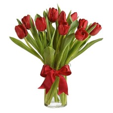 10 Red Tulips in vase