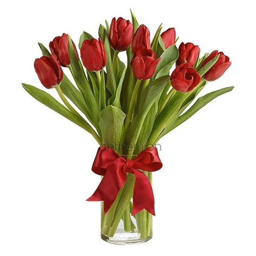 10 Red Tulips in vase