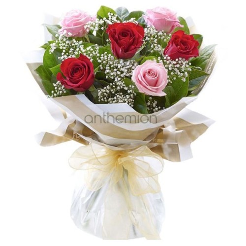 Red and pink roses