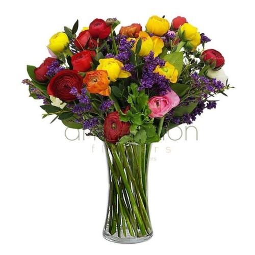 Colorful Ranunculus