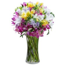 Send Colorful Freesias (Basic)
