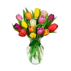 15 colorful tulips in a bouquet | WITHOUT VASE