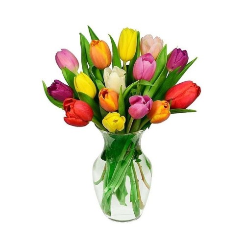 15 colorful tulips in a bouquet | WITHOUT VASE