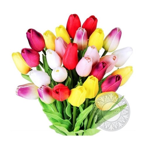 Bouquet of tulips